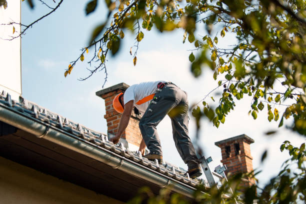 Best Roof Ventilation Installation  in Montrose, VA